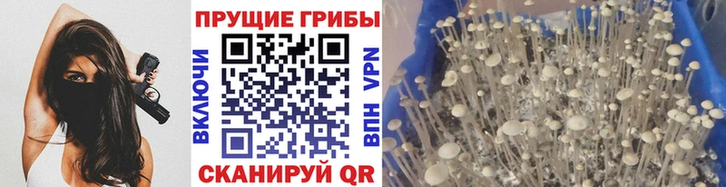 Псилоцибиновые грибы прущие грибы Ярцево